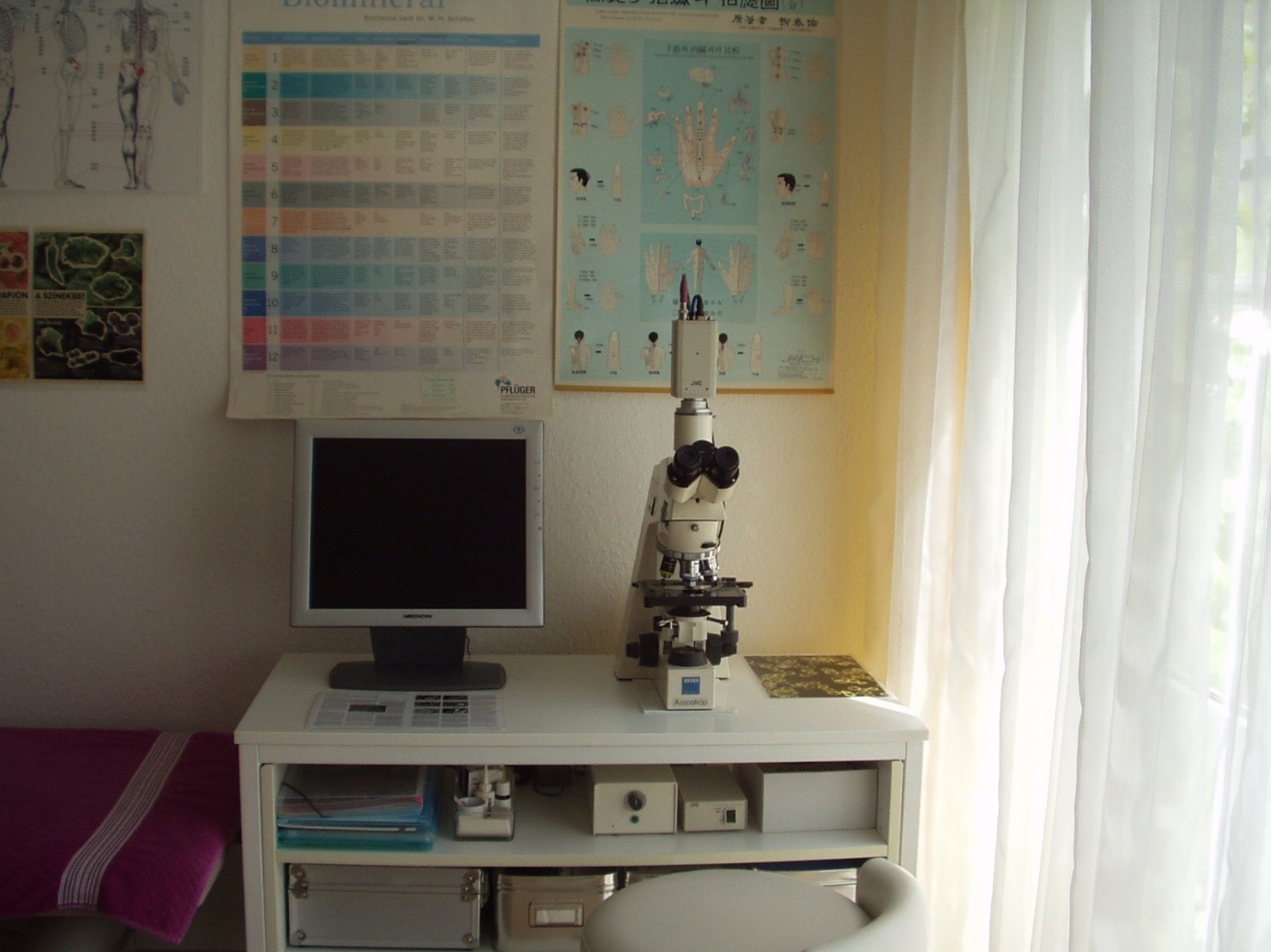 Die Dunkelfeldmikroskopie